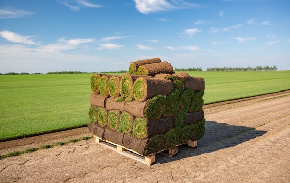 Gro&szlig; (AdobeStock_218100171).jpeg