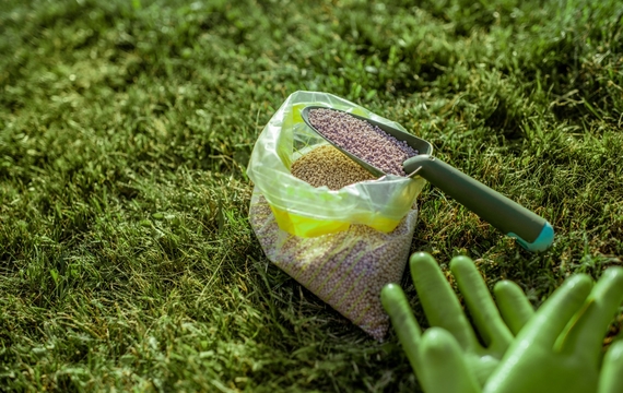 Gro&szlig; (AdobeStock_290201372).jpeg