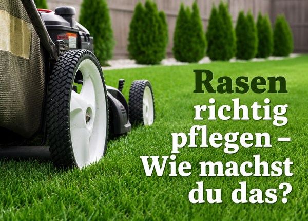343486fee2362ac745db3d23f0169b.png