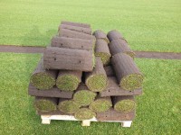 IMG-20210318-WA0008 (1).jpg