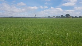 WhatsApp Image 2022-02-01 at 14.36.44 (2).jpeg