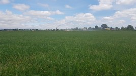 WhatsApp Image 2022-02-01 at 14.36.44 (3).jpeg