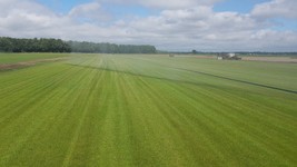 WhatsApp Image 2022-02-01 at 14.36.44.jpeg