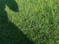 WhatsApp Image 2022-02-01 at 14.36.46 (1).jpeg