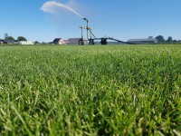 WhatsApp Image 2022-02-01 at 14.36.46 (2).jpeg