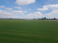 WhatsApp Image 2022-02-01 at 14.36.46.jpeg