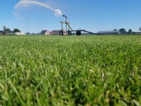 WhatsApp Image 2022-02-01 at 14.36.47.jpeg