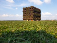 WhatsApp Image 2022-02-01 at 14.36.48 (4).jpeg