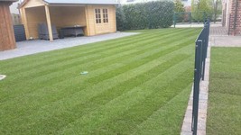 WhatsApp Image 2022-02-01 at 14.36.53.jpeg